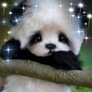 Meet your Posher, Janet